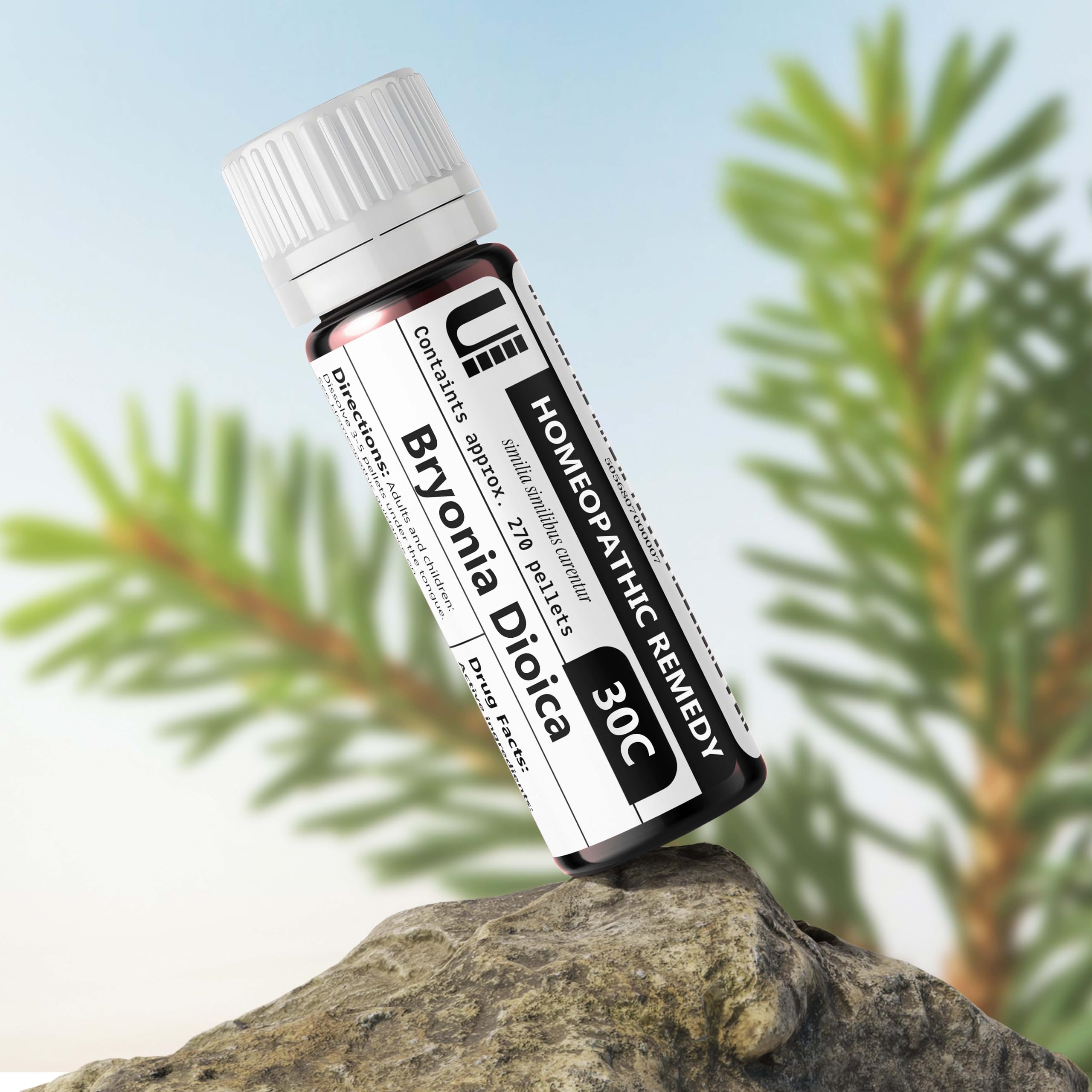 Amazon.com: Bryonia Dioica 30C Homeopathic Remedy, 270 Pellets